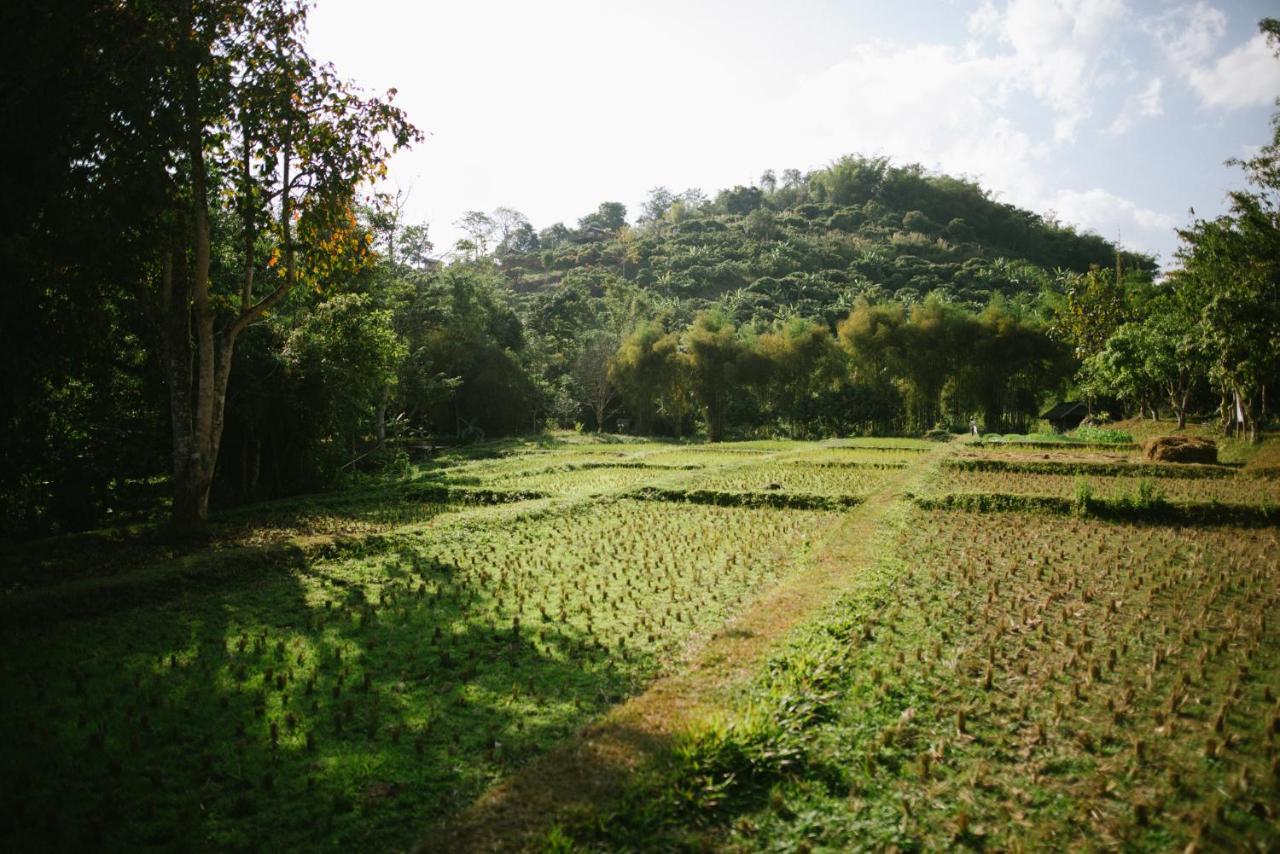 Aum Hum Homestay Fang Bagian luar foto