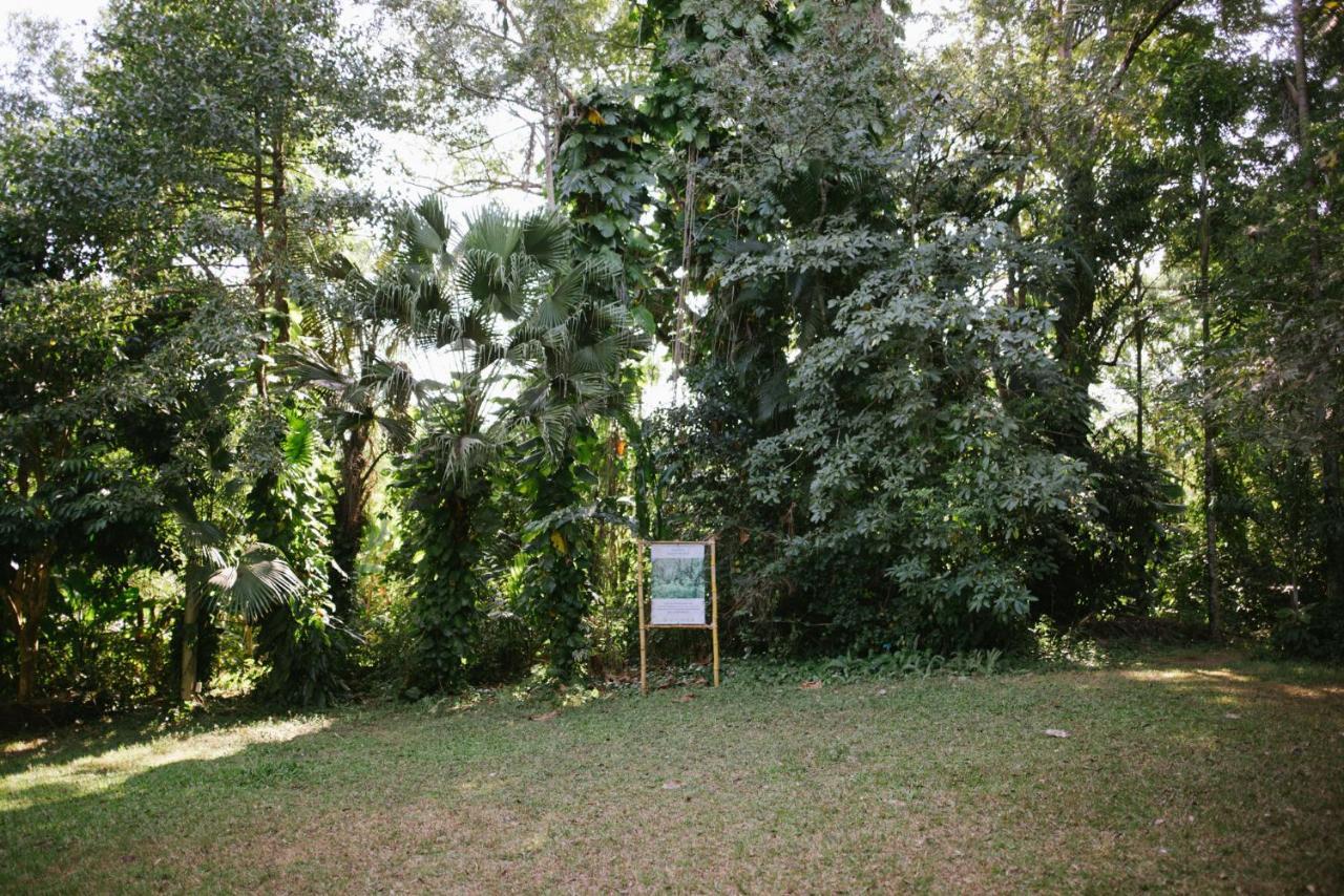 Aum Hum Homestay Fang Bagian luar foto