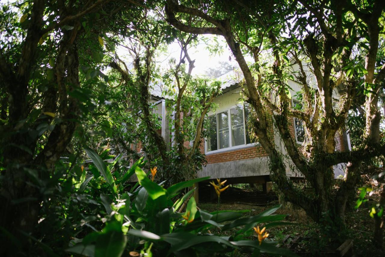Aum Hum Homestay Fang Bagian luar foto